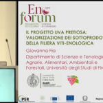 Presentation of the Uva Pretiosa project at Enoforum 2019