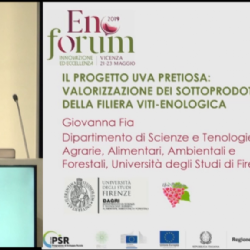 Presentation of the Uva Pretiosa project at Enoforum 2019