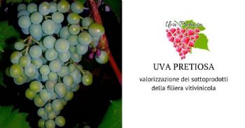 Come valorizzare l’uva immatura e la feccia?