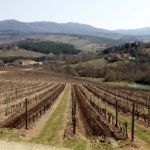 Utilizzo del biodigestato per ridare sostanza organica al suolo.