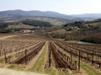 Utilizzo del biodigestato per ridare sostanza organica al suolo.
