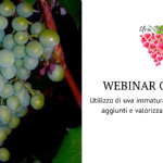 Utilizzo di uva immatura per vini senza solfiti aggiunti e valorizzazione di vinaccioli: esempi concreti di applicazione di economia circolare