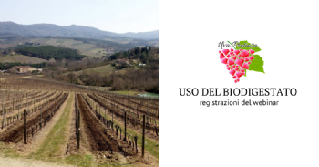 Uso del biodigestato per migliorare l’efficienza del vigneto