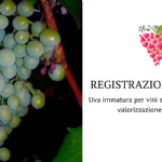 Utilizzo di uva immatura per vini senza solfiti aggiunti e valorizzazione di vinaccioli: esempi concreti di applicazione di economia circolare