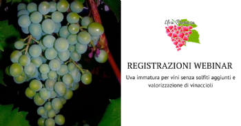 Utilizzo di uva immatura per vini senza solfiti aggiunti e valorizzazione di vinaccioli: esempi concreti di applicazione di economia circolare