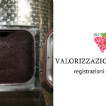 Valorizzazione della vinaccia d’uva. Esperienze condotte presso il CREA-VE Asti. Caratterizzazione, trattamento ed estrazione della frazione polifenolica